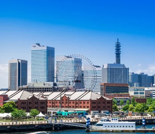 ecovis-is-back-in-japan.webp