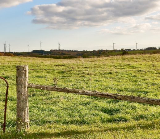 esg-related-faqs-by-eu-nature-restoration-law-and-bam-reporting.jpg