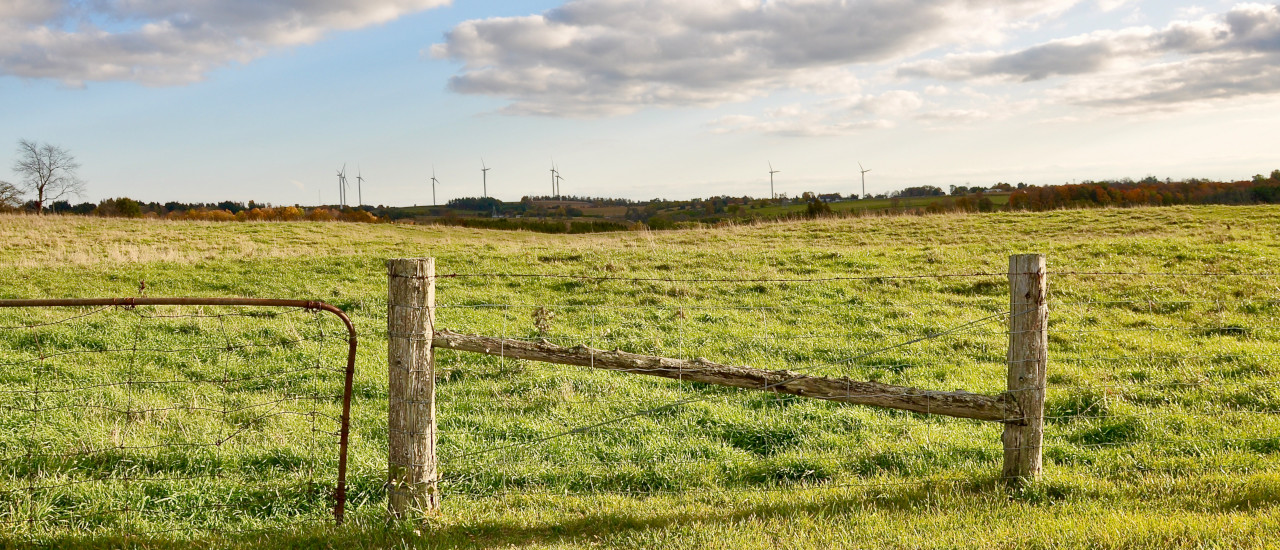ESG related FAQs by EU, Nature Restoration Law and BAM Reporting - ECOVIS International