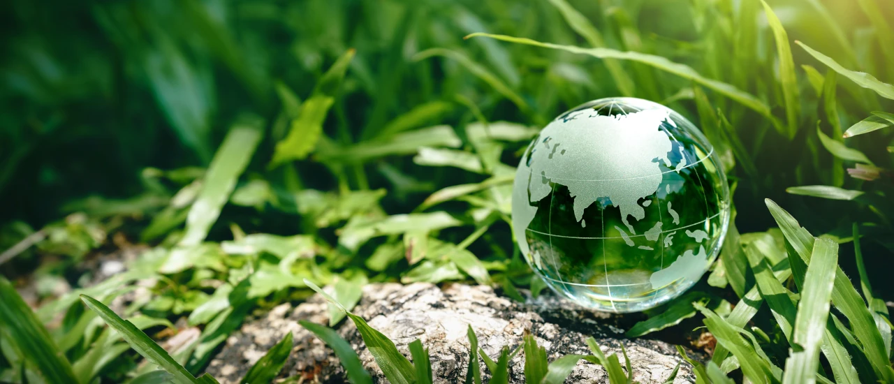 EU Omnibus Package: Significant Rollback of Corporate Sustainability Reporting Rules - ECOVIS International