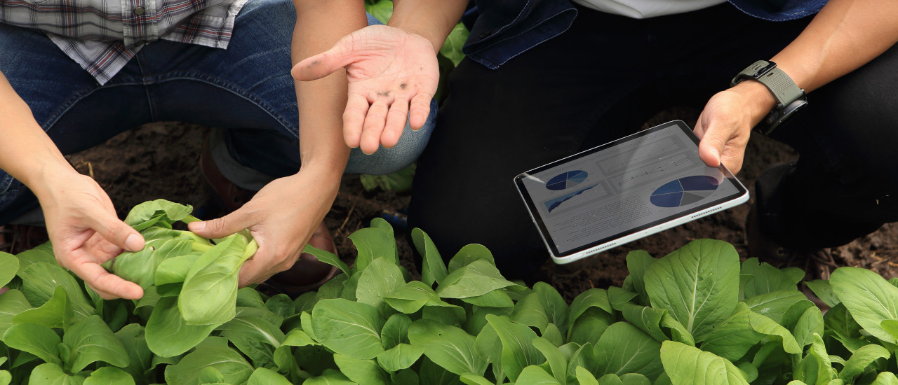 Investing in the Cambodian agricultural sector - ECOVIS International