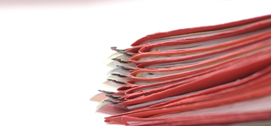 New Scheme for Highly Specialised Non-EU Individuals – Key Employee Initiative - ECOVIS International New Scheme for Highly Specialised Non-EU Individuals – Key Employee Initiative