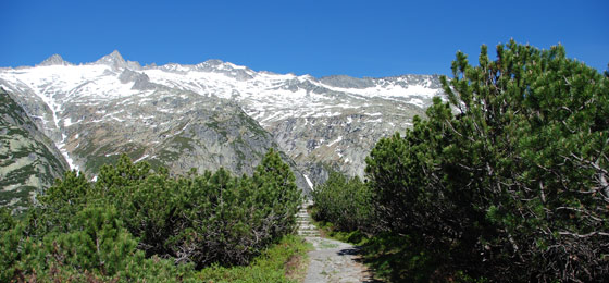 Quo vadis, Switzerland?