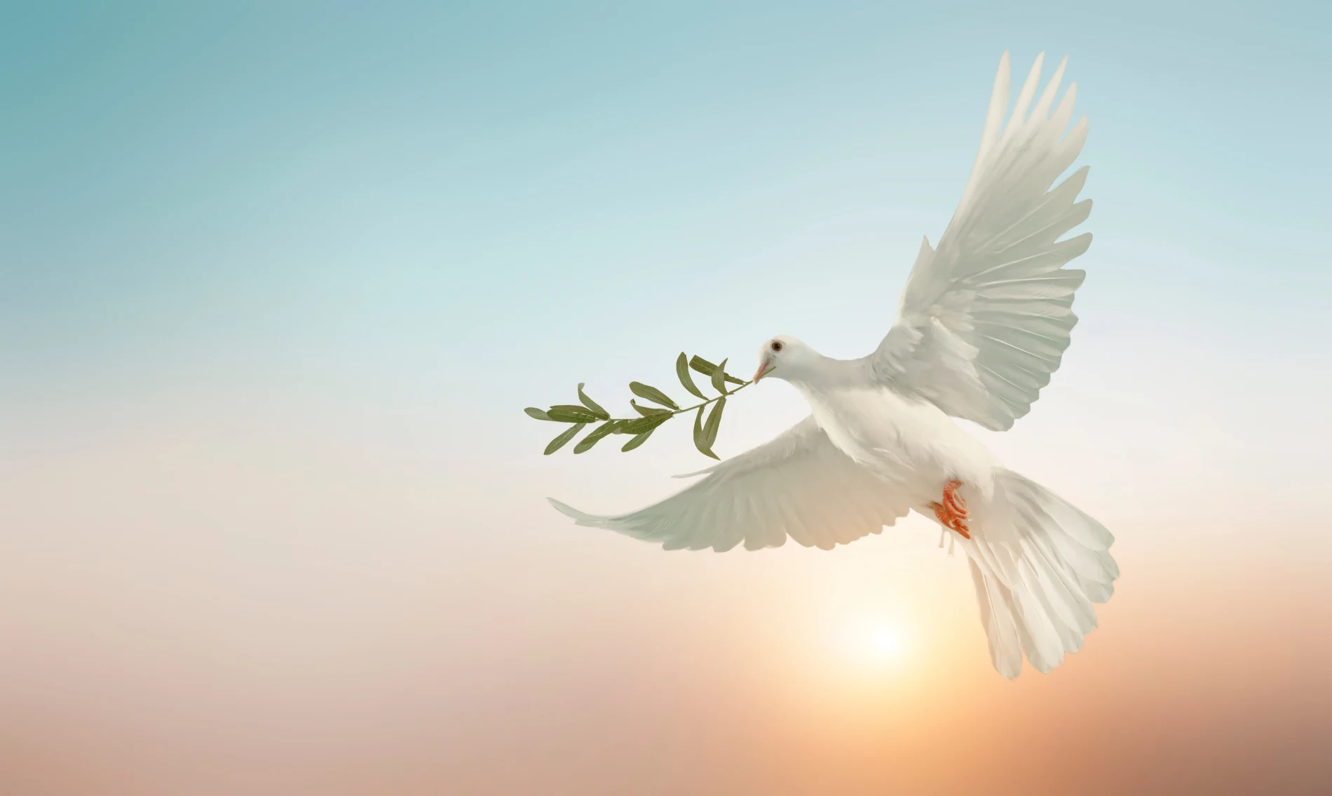 Corporate Social Responsibility PEace
