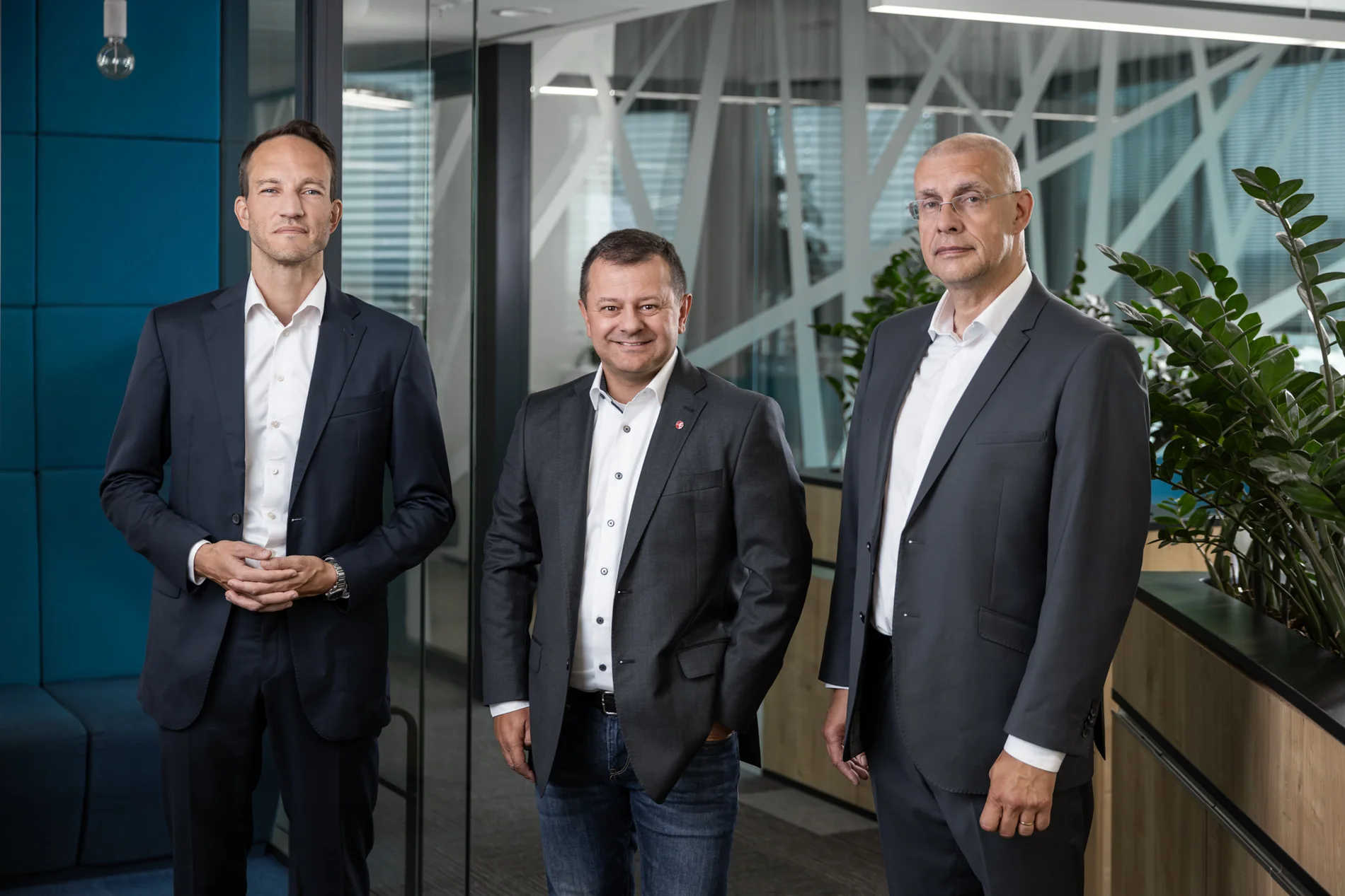 Czech Republic, Audit of financial statements and process analysis