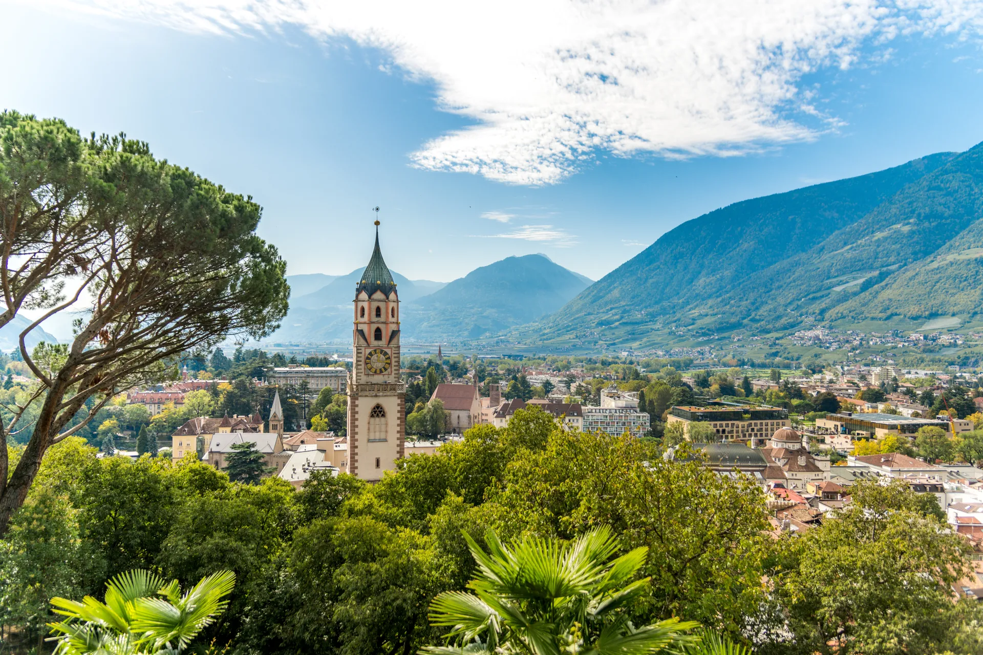 Ecovis strengthens its presence in Italy - ECOVIS International